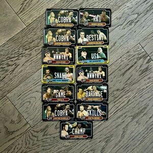 WWE Fridge Magnets lot